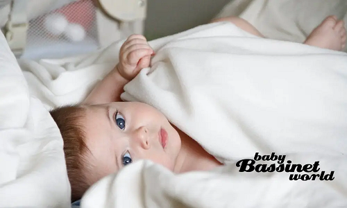 12 Best Co-Sleeper Bassinets In 2022 12 Best Co-Sleeper Bassinets In 2022