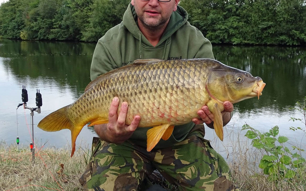What Does Carp Eat? Find It Out To Make Best Bait To Catch Carp What Does Carp Eat? Find It Out To Make Best Bait To Catch Carp