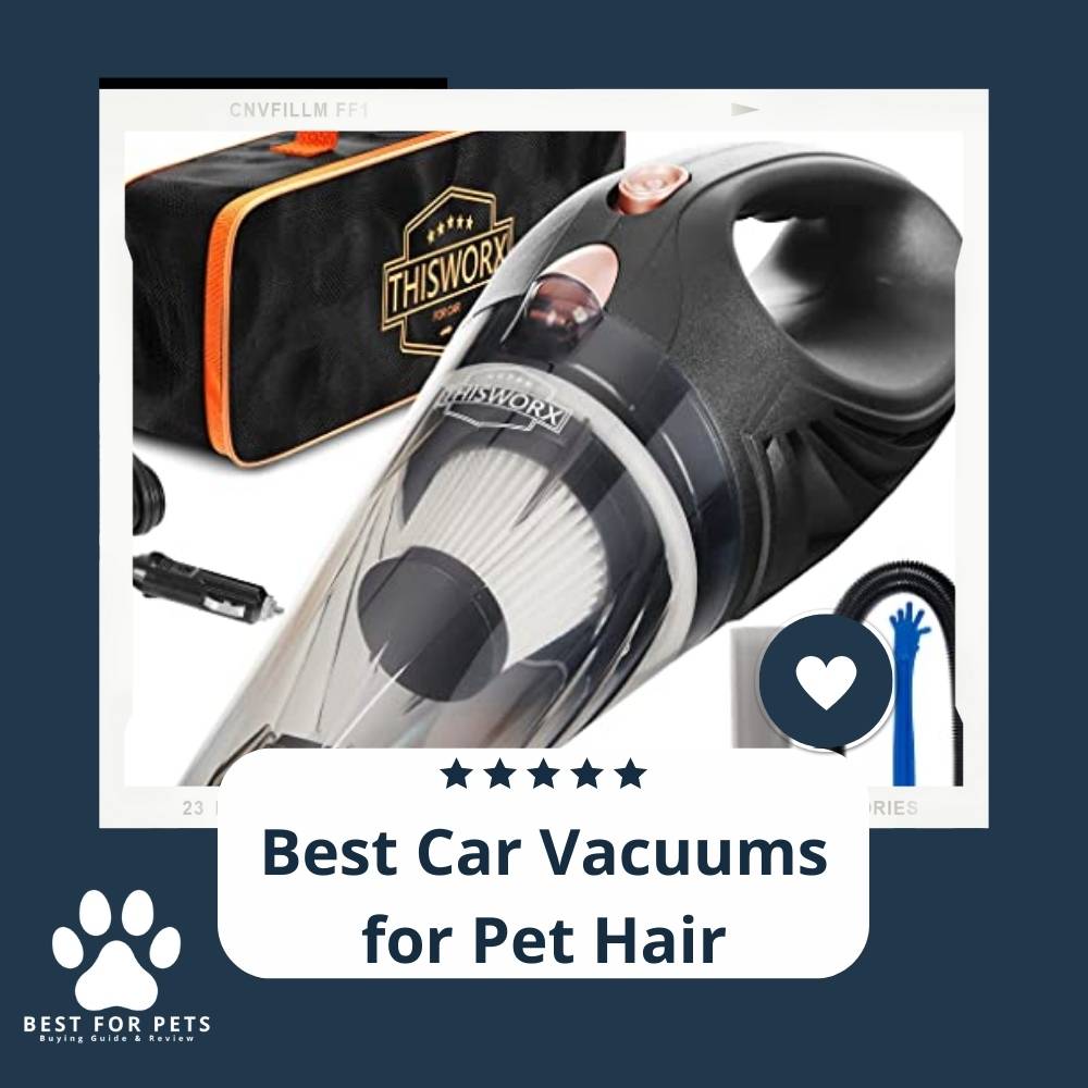 15 Best Car Vacuums for Pet Hair in 2022 15 Best Car Vacuums for Pet Hair in 2022