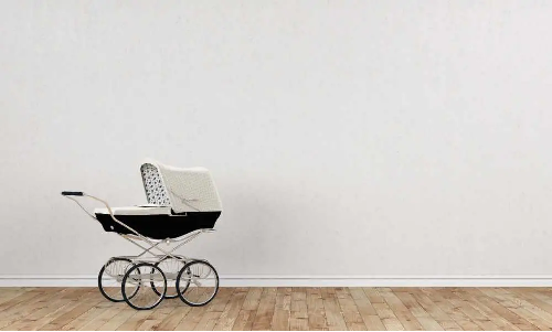 Best Bassinet Stroller: Top Hot Picks Best Bassinet Stroller: Top Hot Picks