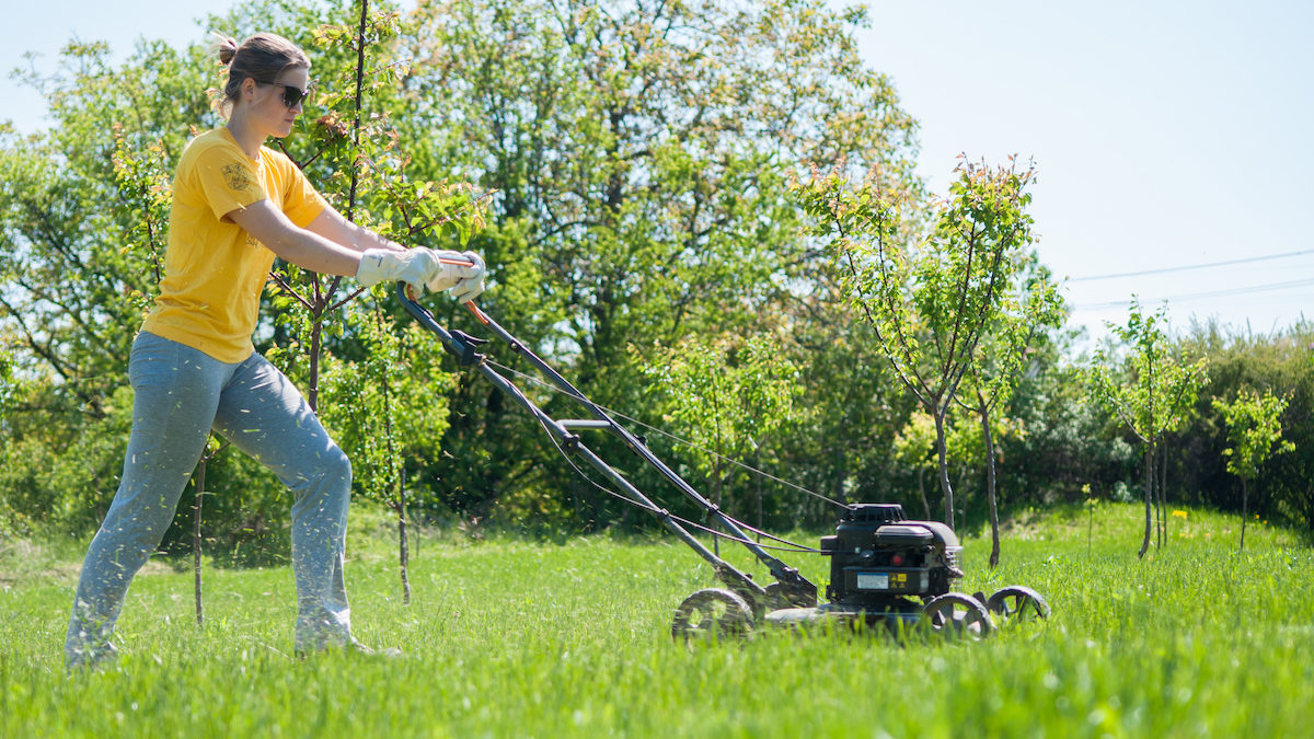 Is It Illegal to Not Mow Your Lawn Is It Illegal to Not Mow Your Lawn