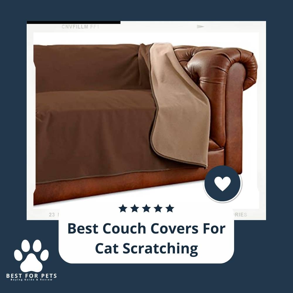10 Best Couch Covers For Cat Scratching in 2022