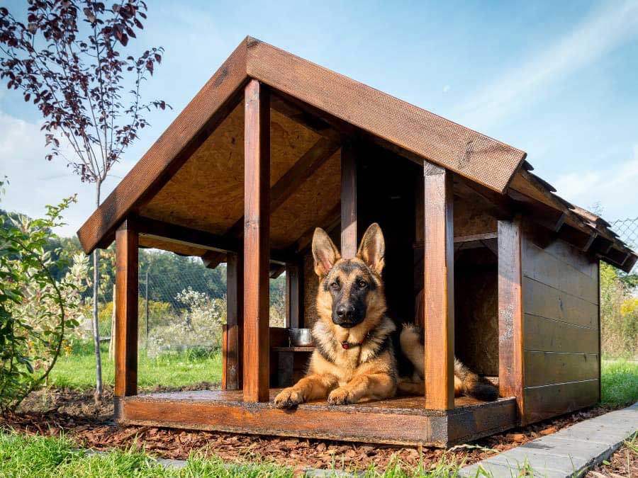 Top 17 Best Insulated Dog House Of 2023 Top 17 Best Insulated Dog House Of 2023