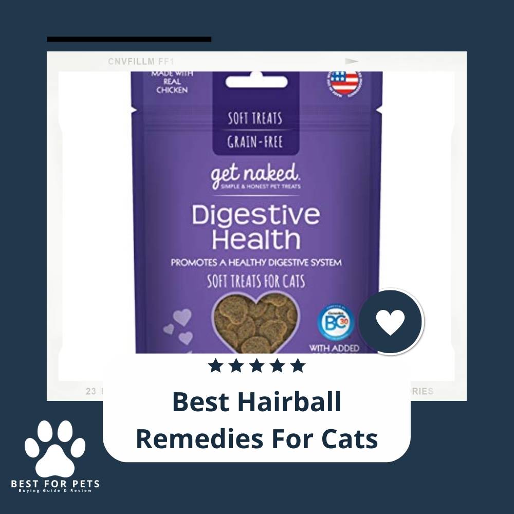 10 Best Hairball Remedies For Cats in 2022