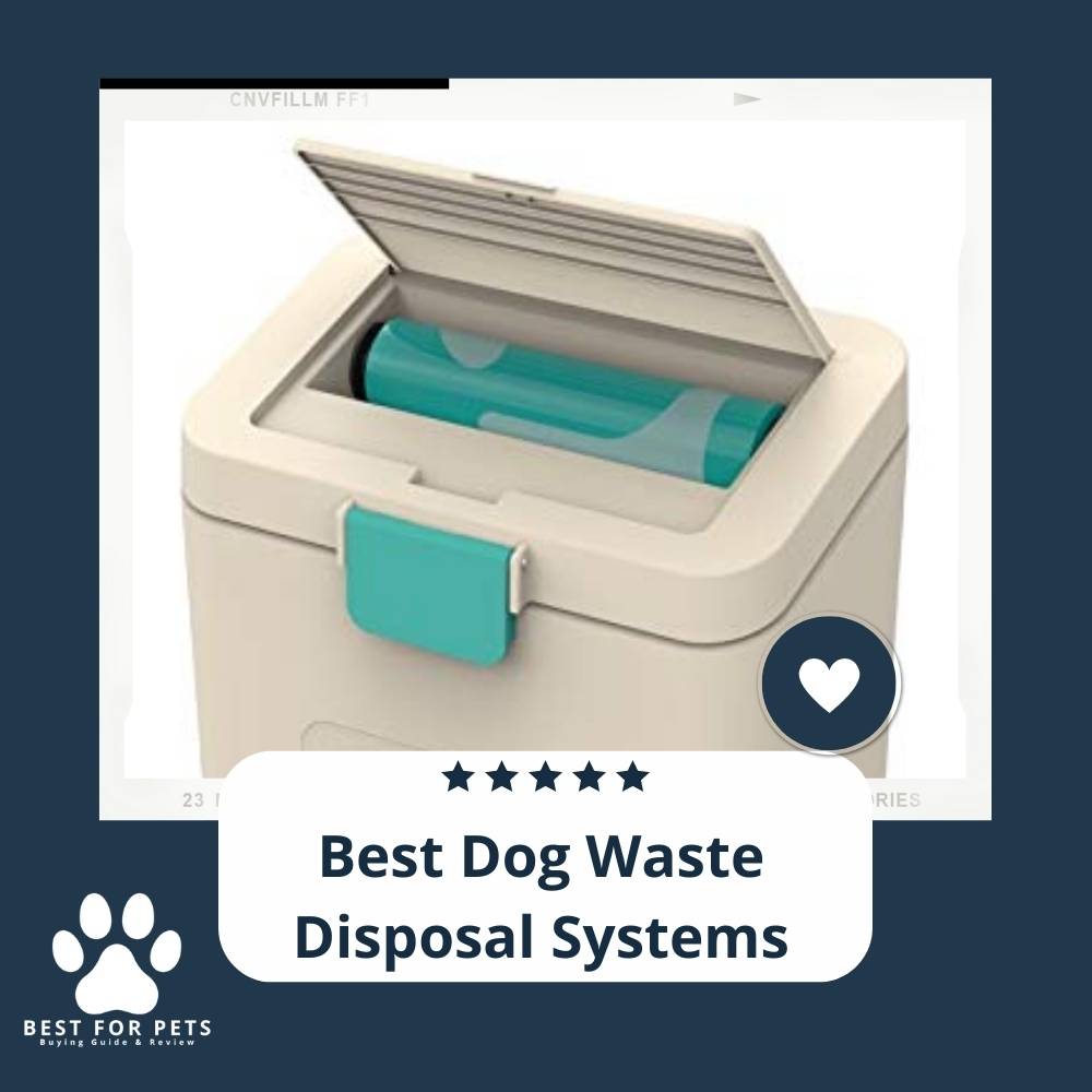 The 12 Best Dog Waste Disposal Systems of 2023