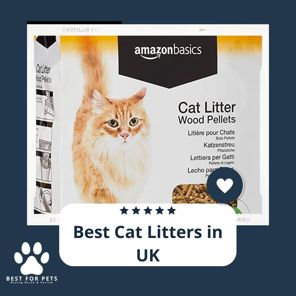 10 Best Cat Litters in the UK in 2023