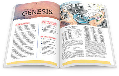 Best Catholic Bible For Youth Of 2023: Completed List Best Catholic Bible For Youth Of 2023: Completed List