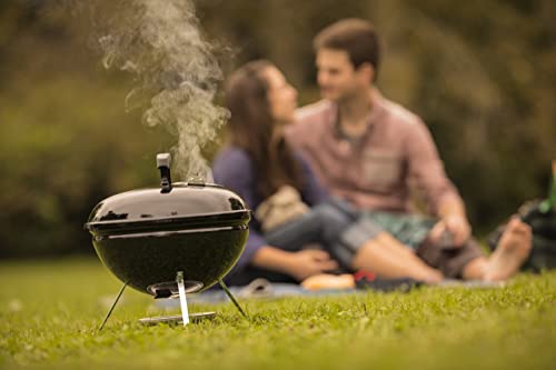 The 5 Best Weber Grills best according to experts The 5 Best Weber Grills best according to experts