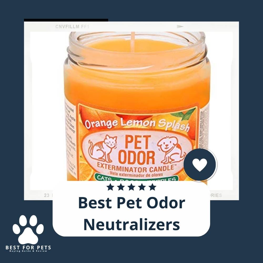 15 Best Pet Odor Neutralizers in 2022 15 Best Pet Odor Neutralizers in 2022