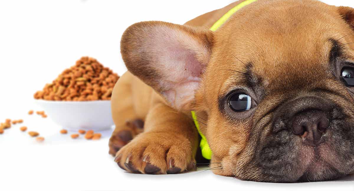 Top 13 Best Puppy Food For A French Bulldog Features, Reviews, and FAQs Top 13 Best Puppy Food For A French Bulldog Features, Reviews, and FAQs