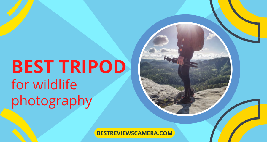 Top 12 best tripod for wildlife photography: Which one do you want? Top 12 best tripod for wildlife photography: Which one do you want?