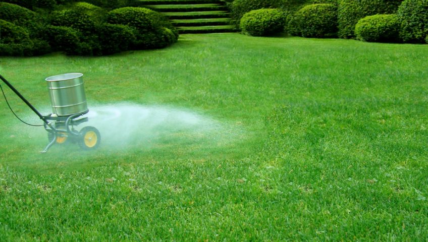 Best Liquid Fertilizer For Large Lawns: - Our Top Picks 2022 Best Liquid Fertilizer For Large Lawns: - Our Top Picks 2022