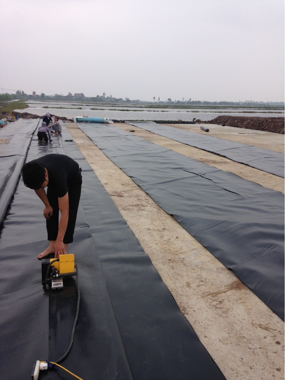 Quá trình thi công bạt chống thấm