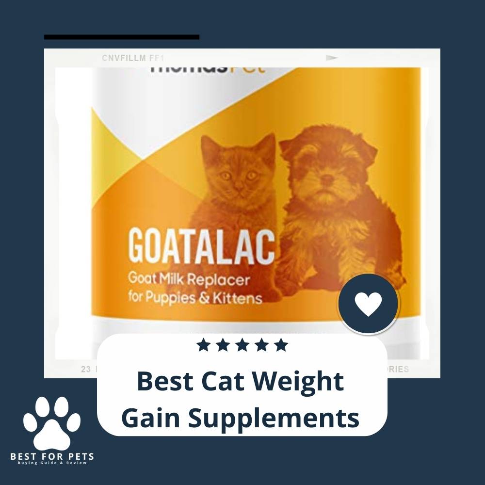 10 Best Cat Weight Gain Supplements in 2023