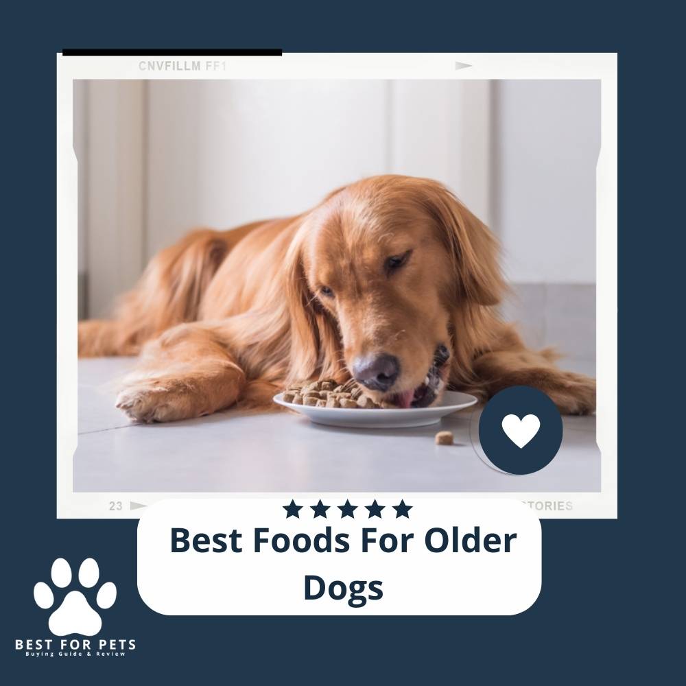 The 9 Best Foods For Older Dogs of 2023