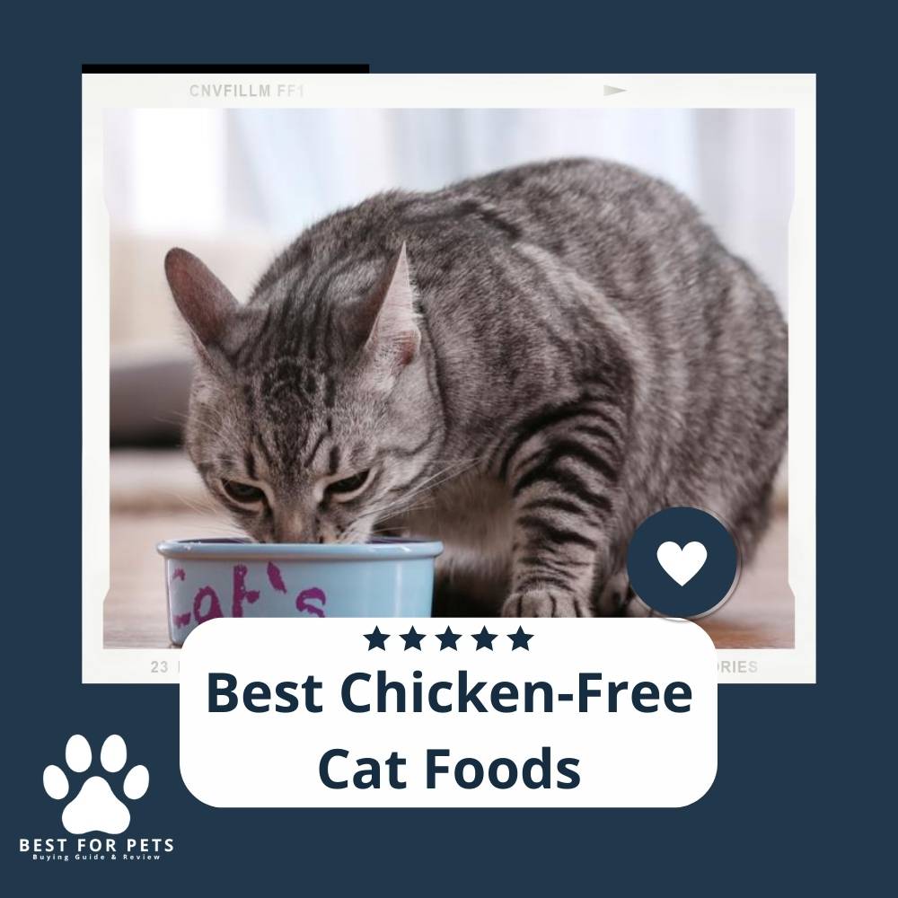 15 Best ChickenFree Cat Foods in 2022