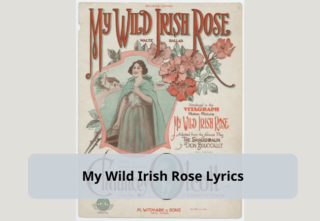 @Daniel O'Donnell| My Wild Irish Rose Lyrics + Video @Daniel O'Donnell| My Wild Irish Rose Lyrics + Video