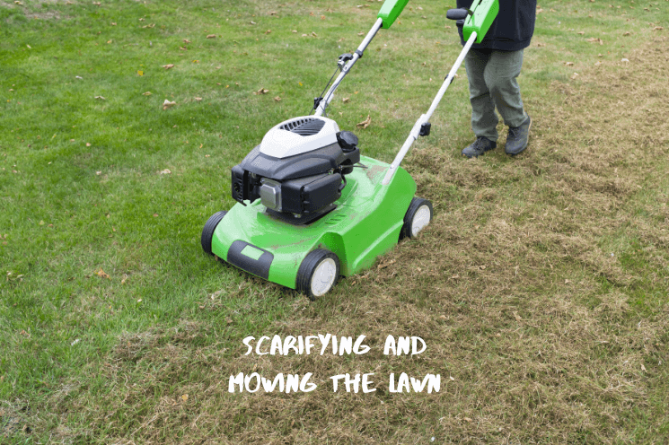 Should You Mow a Lawn Before Scarifying Should You Mow a Lawn Before Scarifying