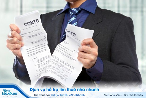 YouHomes - Những điểm mấu chốt người thuê nhà phải biết trước khi ký hợp đồng thuê nhà