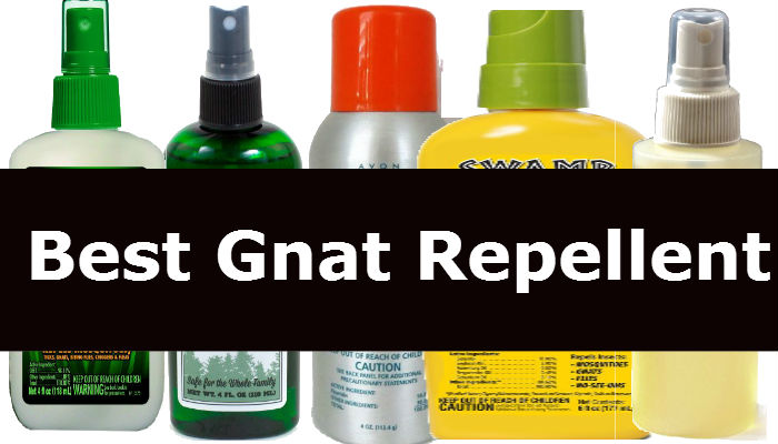 Best Gnat Repellent For Yard of 2022 Best Gnat Repellent For Yard of 2022
