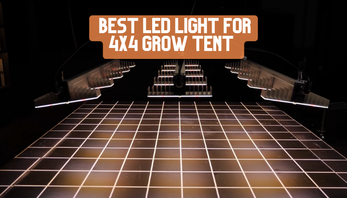 Best 4x4 Led Grow Light of 2022 Best 4x4 Led Grow Light of 2022