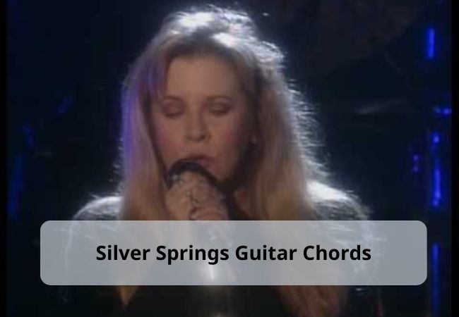 Fleetwood Mac - Silver Springs Fleetwood Mac - Silver Springs