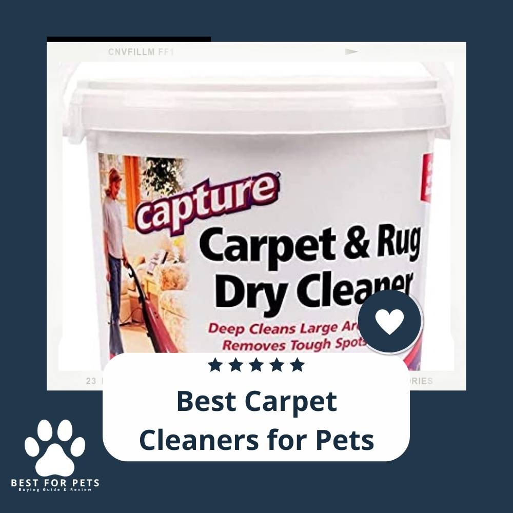 15 Best Carpet Cleaners for Pets in 2022 15 Best Carpet Cleaners for Pets in 2022