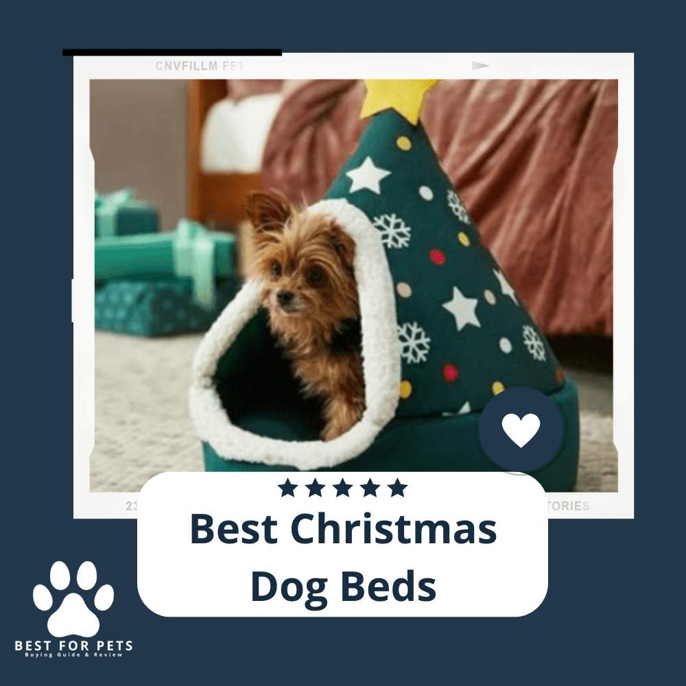 The 10 Best Christmas Dog Beds of 2023