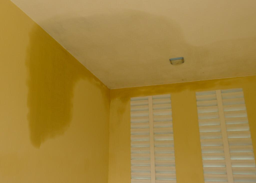 nhà mới xây bị thấm dột hình 1