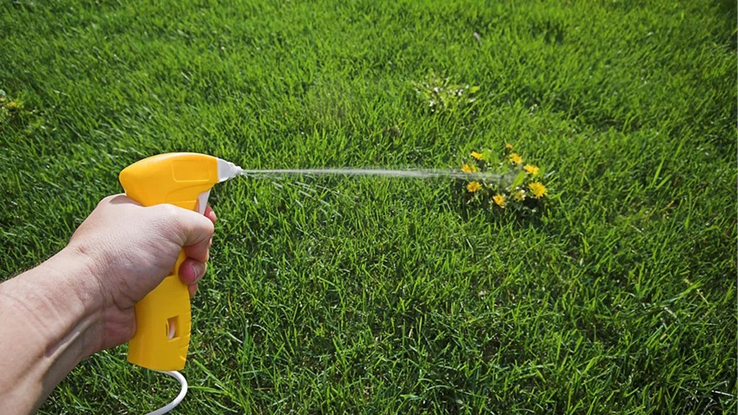 Best Organic Weed Killer For Lawns : Review And Buying Guide Best Organic Weed Killer For Lawns : Review And Buying Guide
