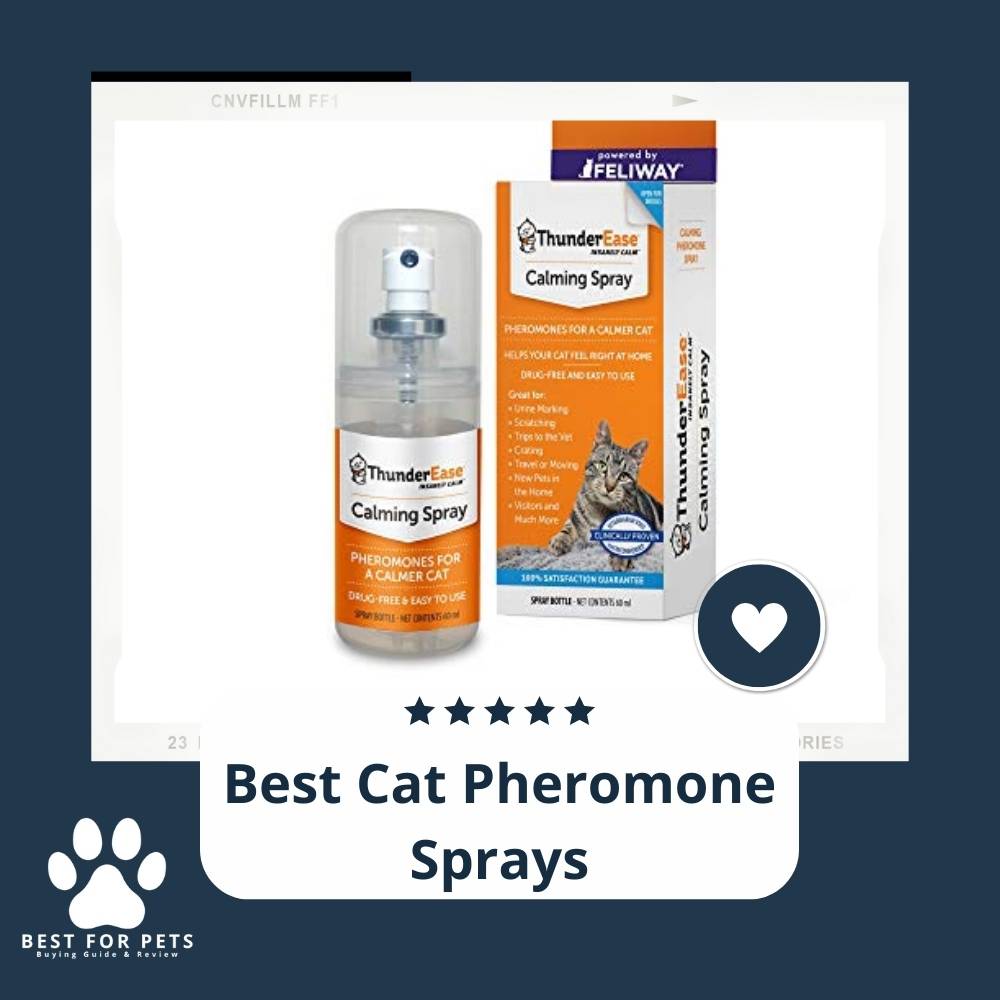 The 10 Best Cat Pheromone Sprays of 2022