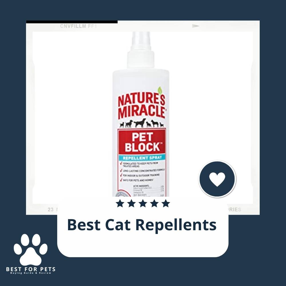 The 9 Best Cat Repellents of 2023