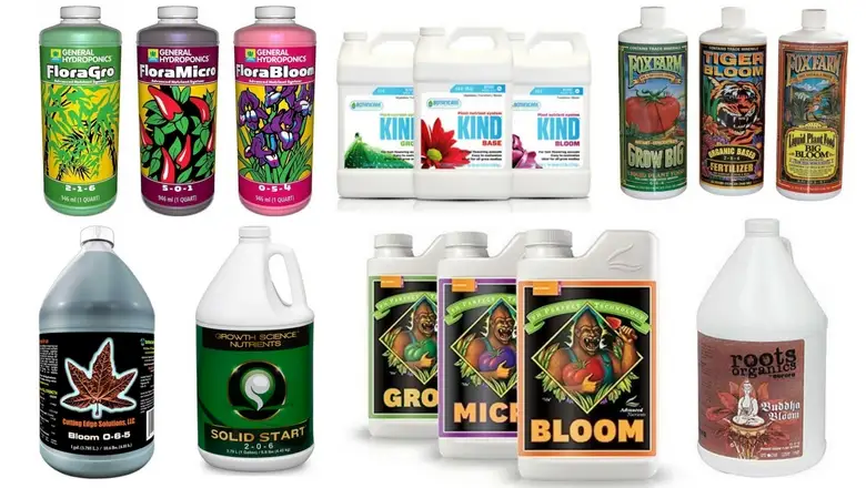 Best Organic Nutrients For Dwc of 2022 Best Organic Nutrients For Dwc of 2022