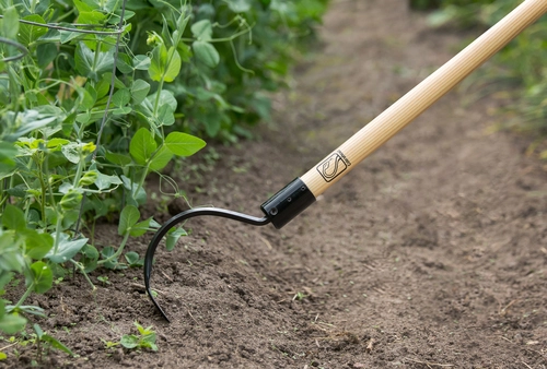 Best Long Handled Weeding Tools of 2022 Best Long Handled Weeding Tools of 2022