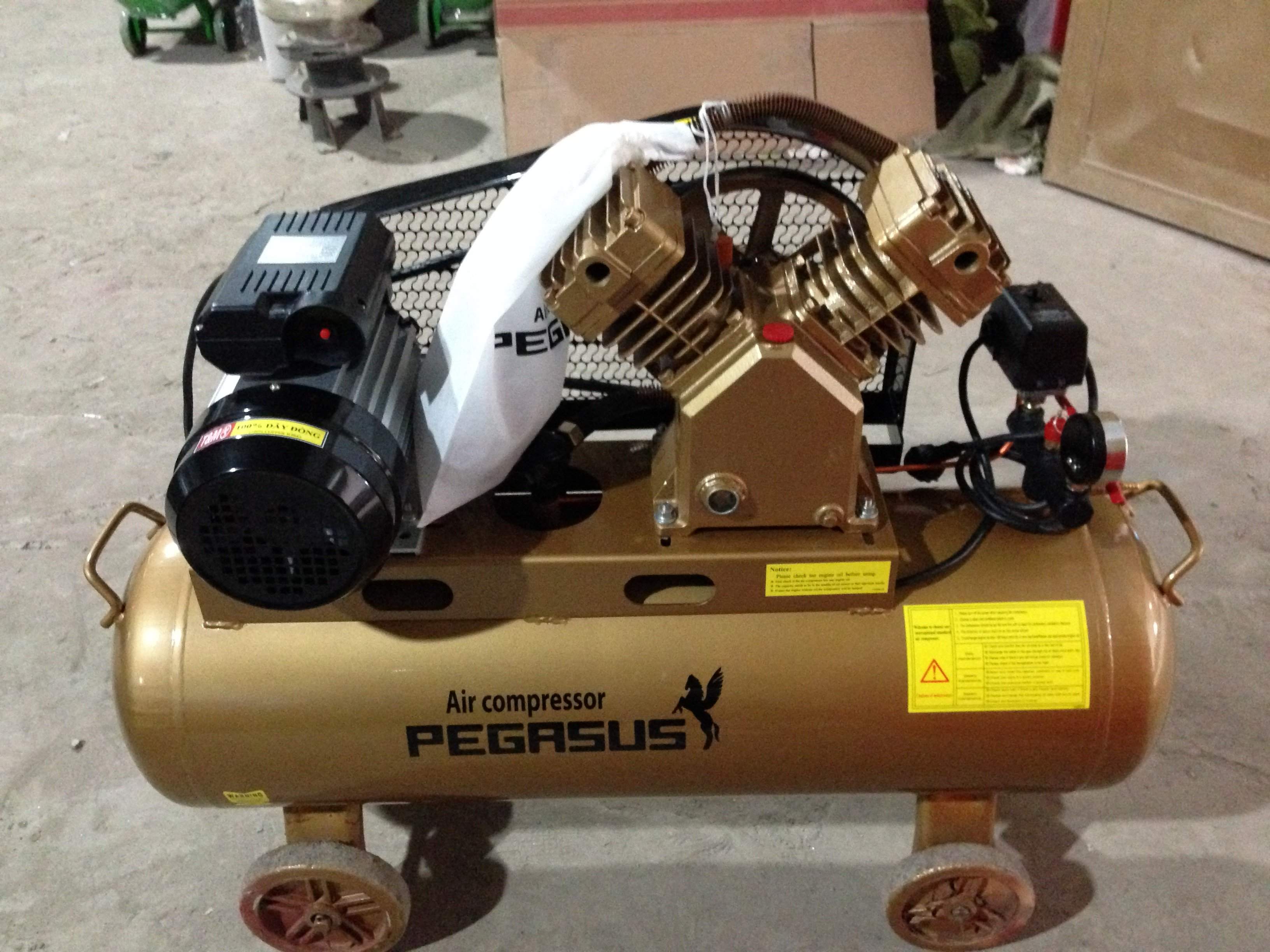Máy nén khí Pegasus 120l