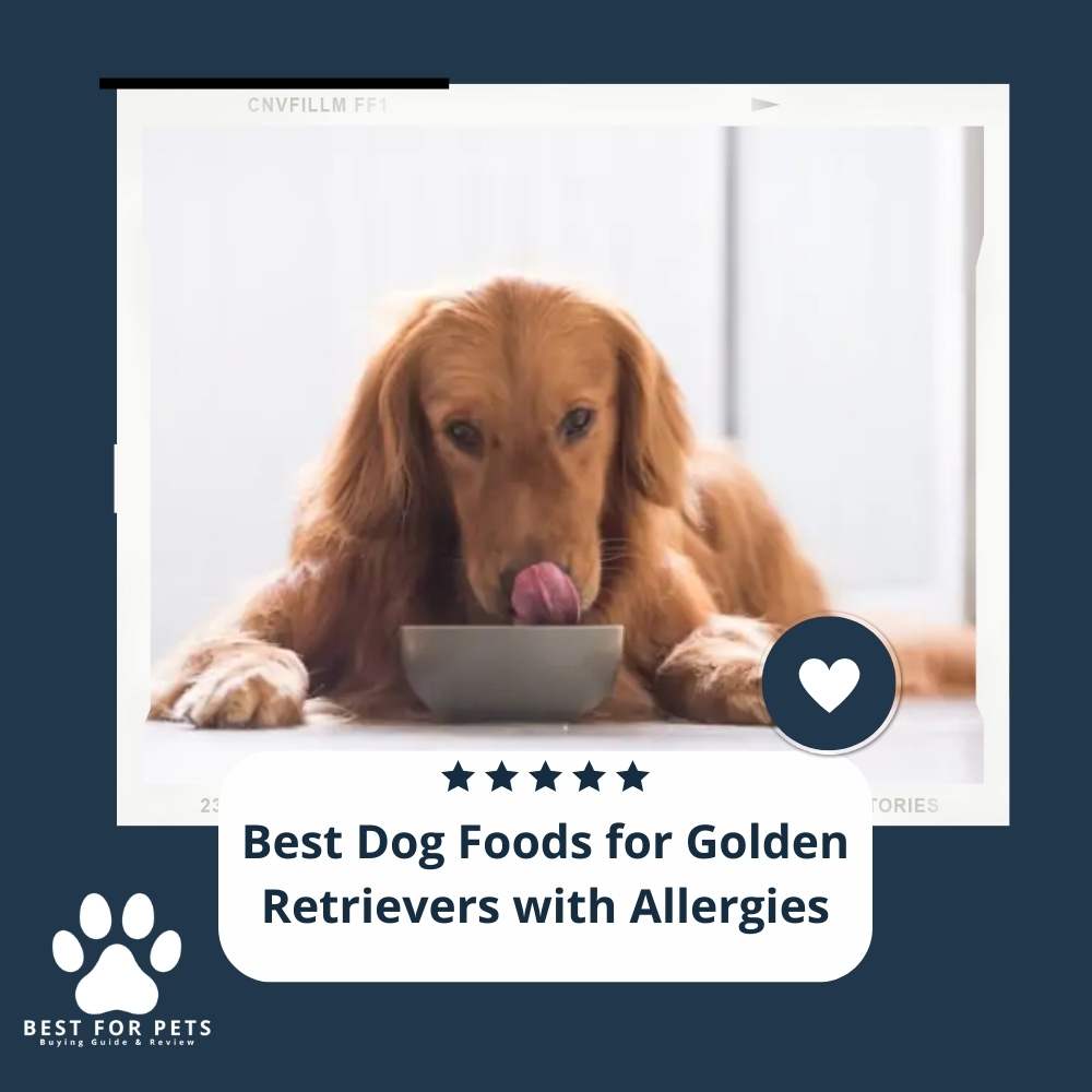 The 12 Best Dog Foods For Golden Retrievers With Allergies of 2023