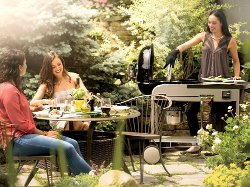 The Best Weber Grills Best Premium in 2023 The Best Weber Grills Best Premium in 2023
