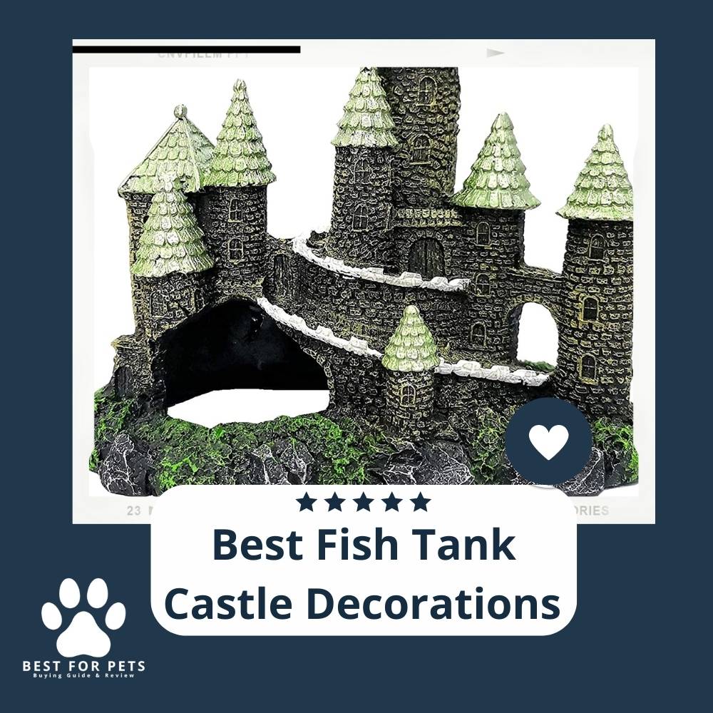 The 10 Best Fish Tank Castle Decorations of 2022 The 10 Best Fish Tank Castle Decorations of 2022