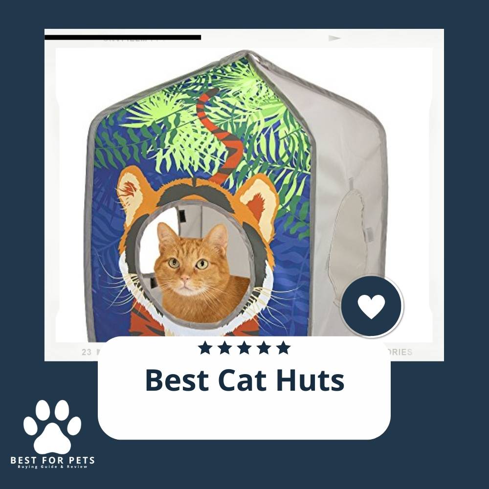 The 8 Best Cat Huts of 2023 The 8 Best Cat Huts of 2023