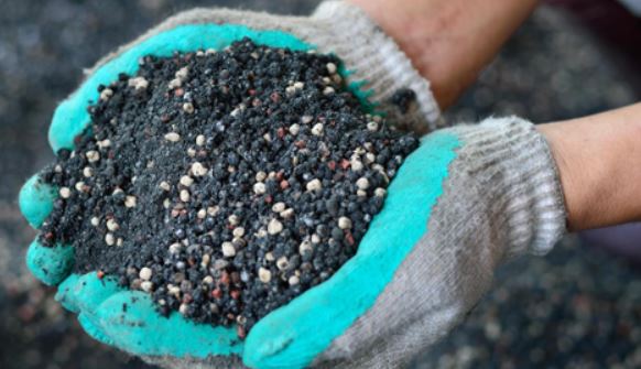 Best Fertilizer For Arborvitae Trees of 2022 Best Fertilizer For Arborvitae Trees of 2022