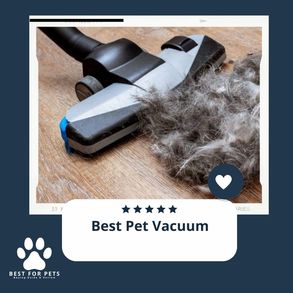 The 15 Best Pet Vacuum of 2023