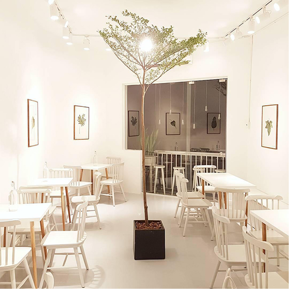 màu sơn quán cafe đẹp hình 3