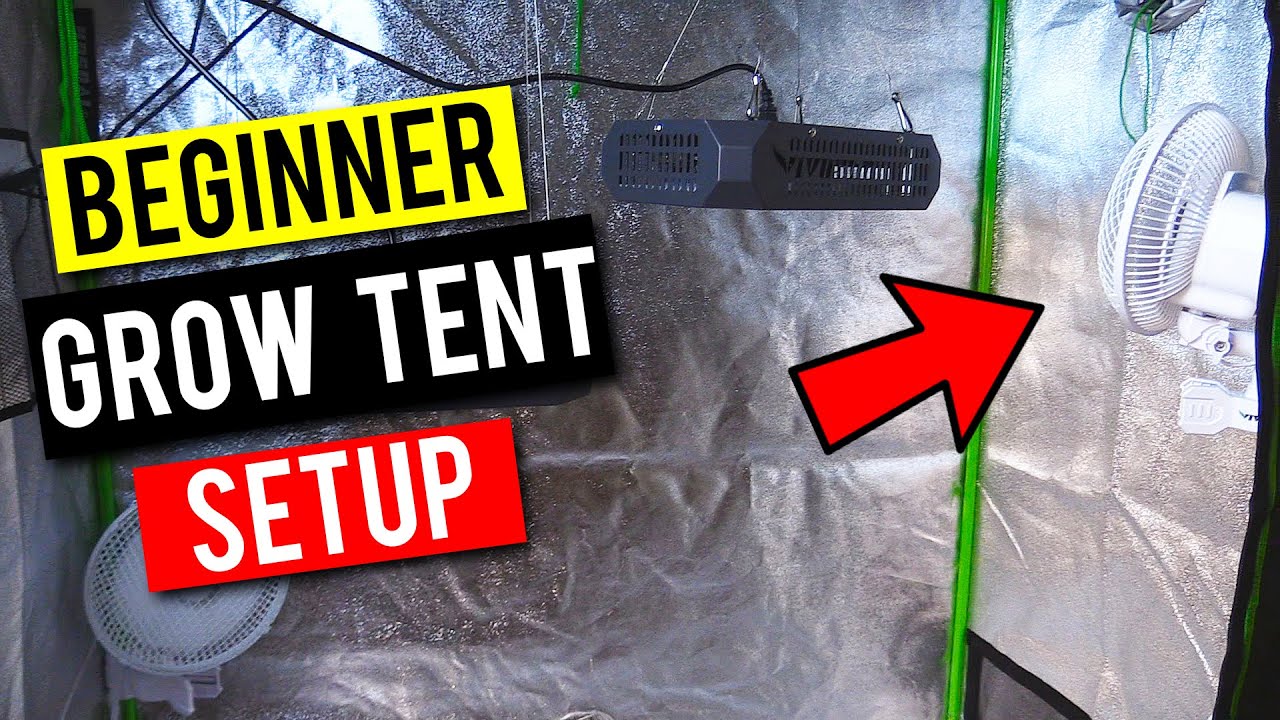 Best Grow Tent Setup For Beginners of 2022 Best Grow Tent Setup For Beginners of 2022