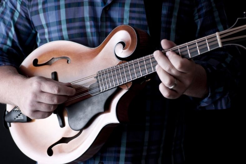 Best Mandolin Lessons Of 2023: Completed List Best Mandolin Lessons Of 2023: Completed List