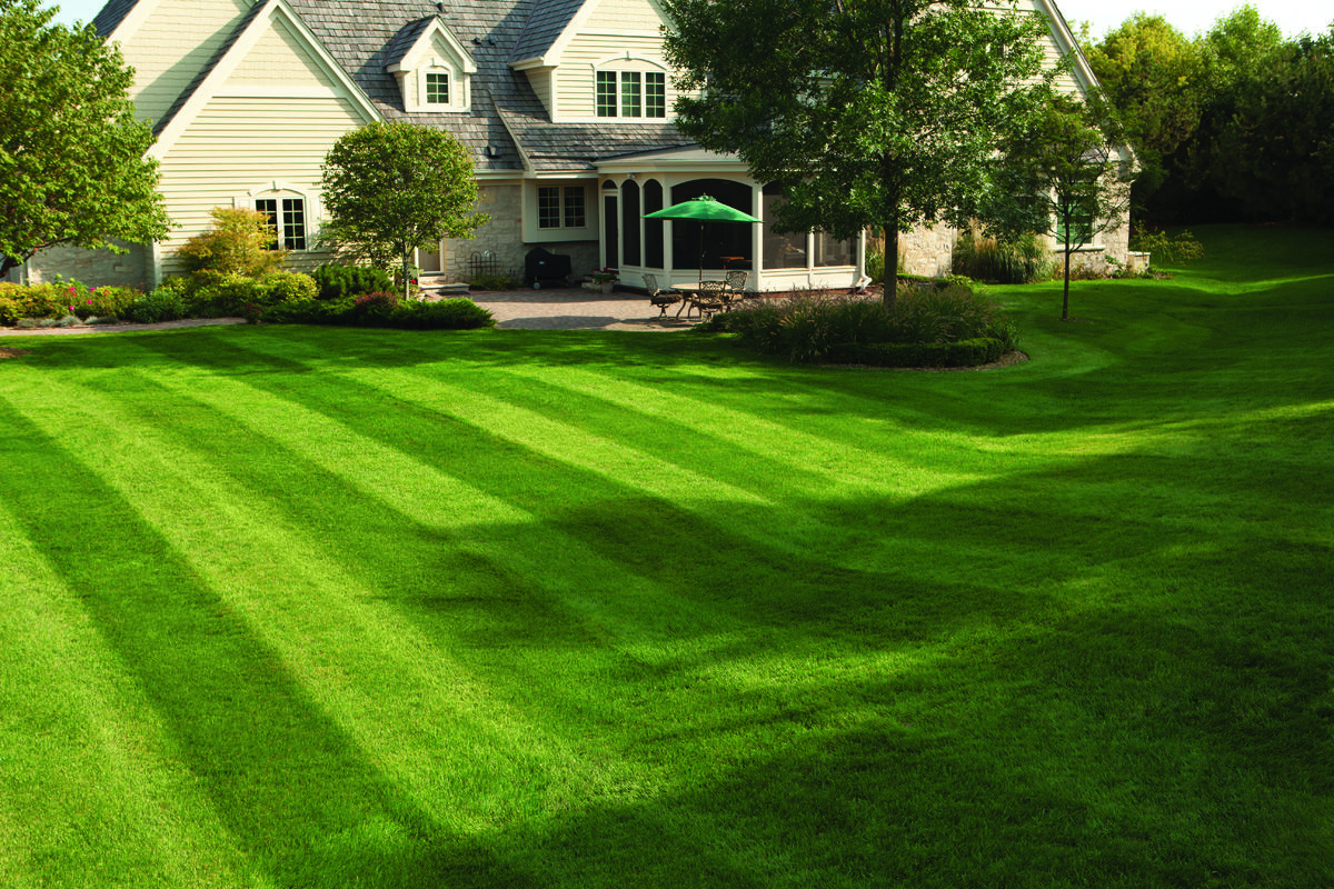 Why Does Your Lawn Not Stripe When Mowing Why Does Your Lawn Not Stripe When Mowing