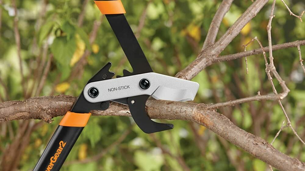 Best Loppers For Large Branches: - Our Top Picks 2022 Best Loppers For Large Branches: - Our Top Picks 2022