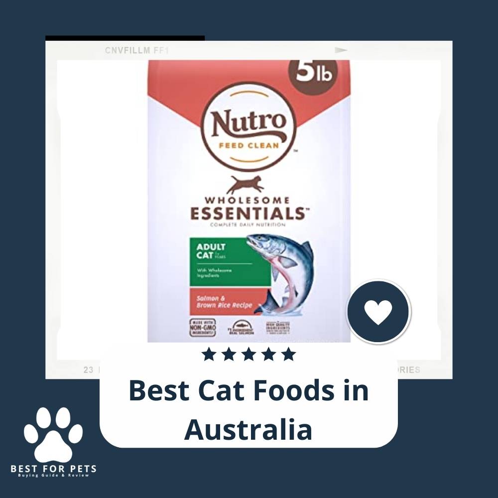14 Best Cat Foods in Australia in 2022