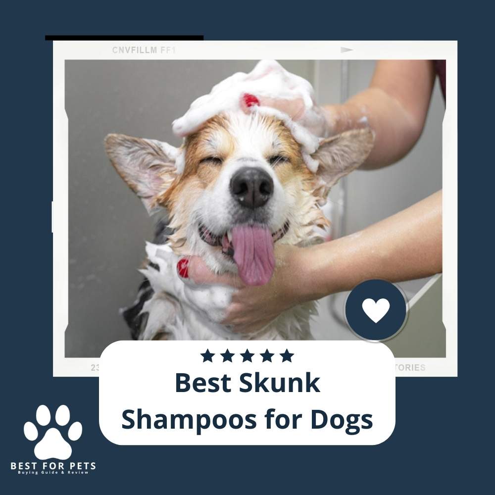 The 11 Best Skunk Shampoos For Dogs of 2023