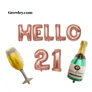 Gifts For 21 Birthday Celebration in 2022 Gifts For 21 Birthday Celebration in 2022