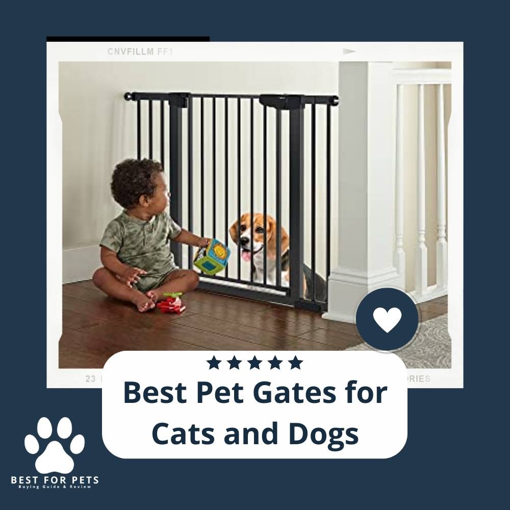 15 Best Pet Gates for Cats and Dogs in 2022 15 Best Pet Gates for Cats and Dogs in 2022